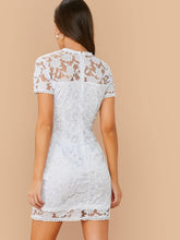 Load image into Gallery viewer, Lace Trim Embroidery Mesh Dress
